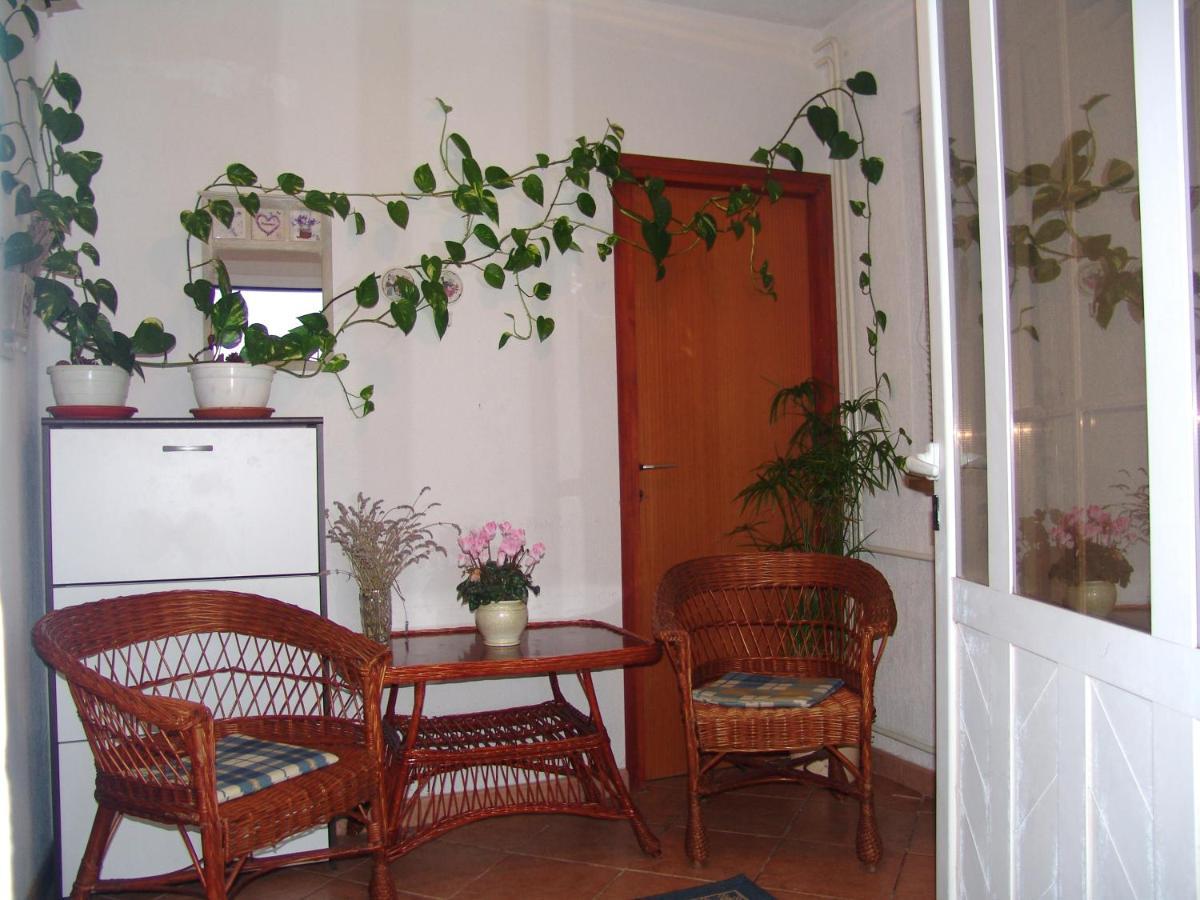 Apartments Bozica 克尔克 外观 照片